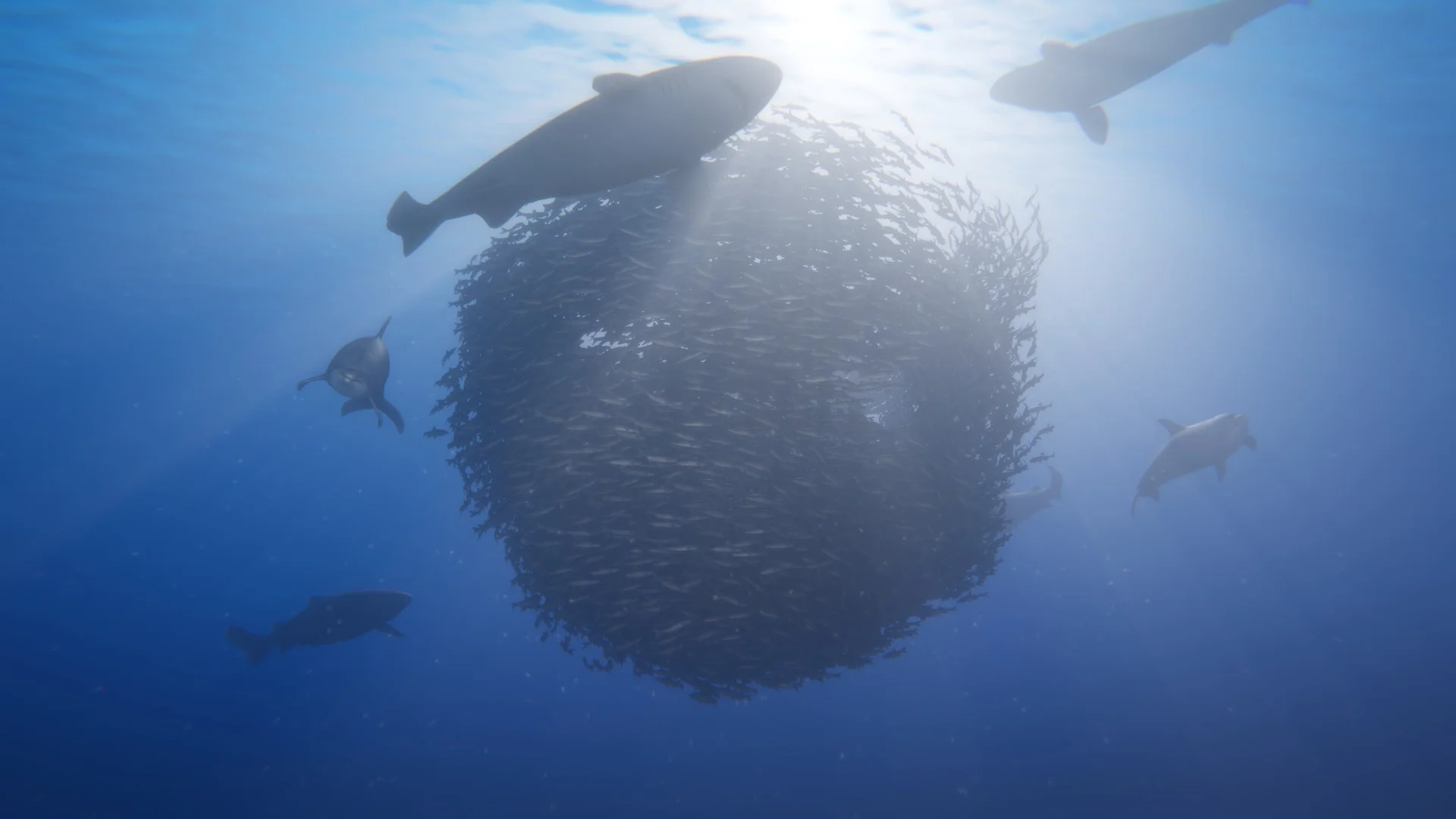 Beyond Blue - кадр 5