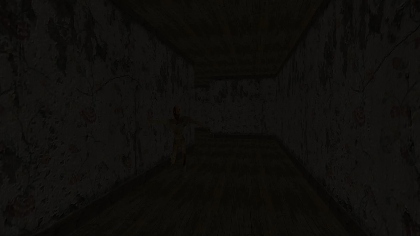 Holan 2.0 - кадр 6