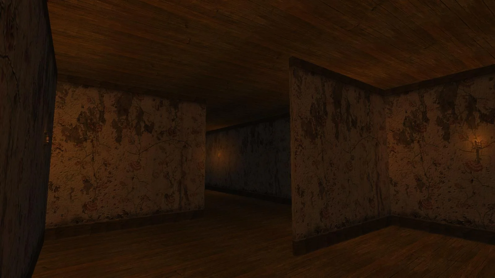 Holan 2.0 - кадр 4