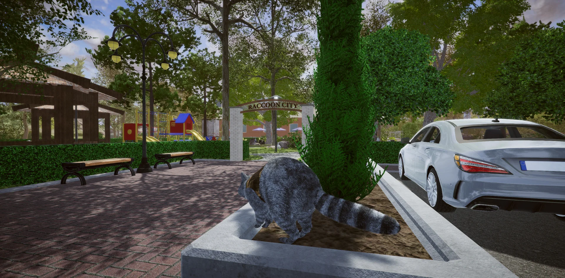 Wanted Raccoon - кадр 1