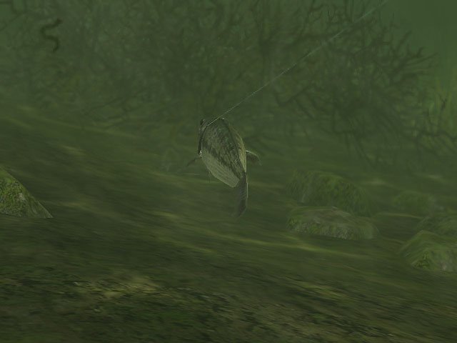 Rapala Pro Fishing — скриншот 8