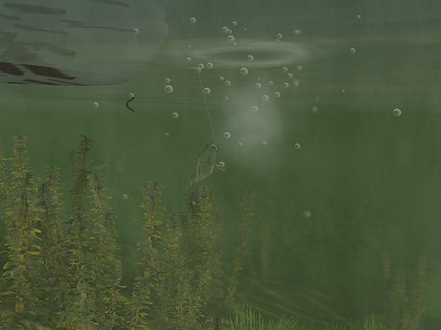 Rapala Pro Fishing — скриншот 2