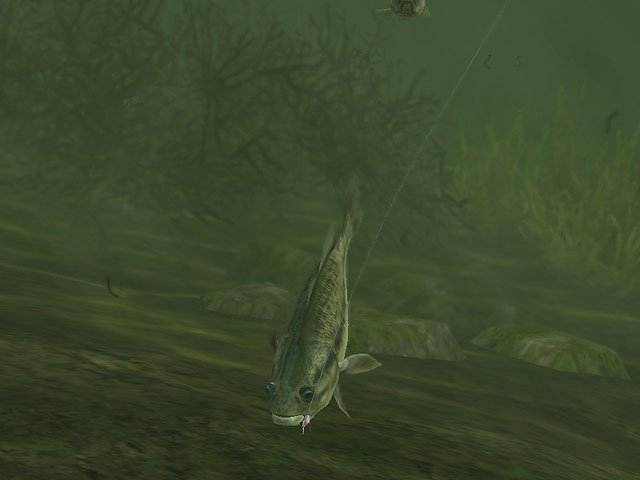 Rapala Pro Fishing — скриншот 6