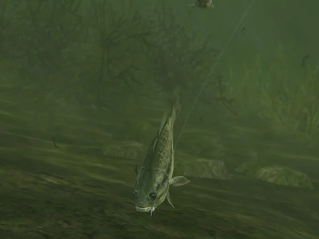 Rapala Pro Fishing - кадр 2