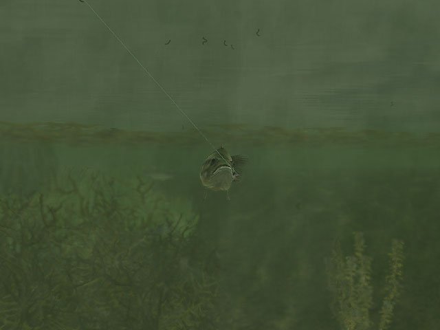 Rapala Pro Fishing — скриншот 1