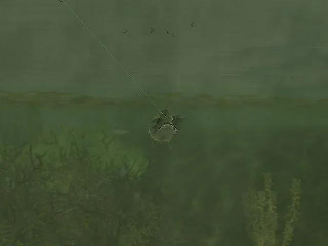 Rapala Pro Fishing - кадр 4