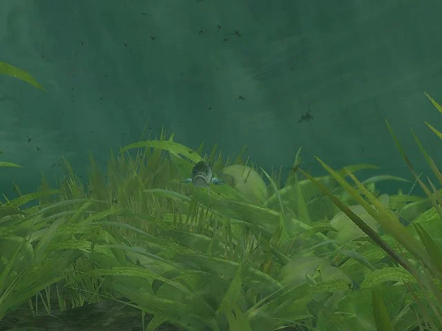 Rapala Pro Fishing - кадр 18