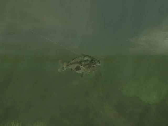 Rapala Pro Fishing - кадр 8