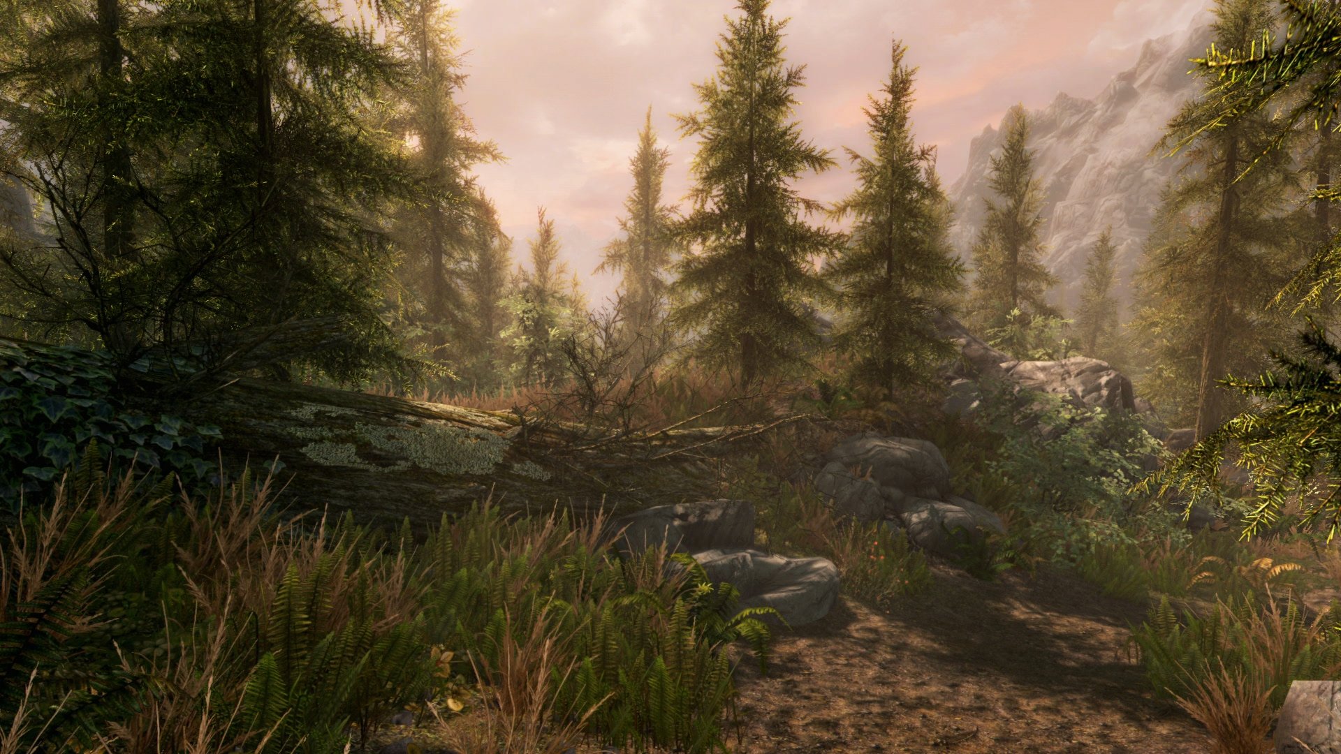 The Elder Scrolls V: Skyrim Special Edition — скриншот 6