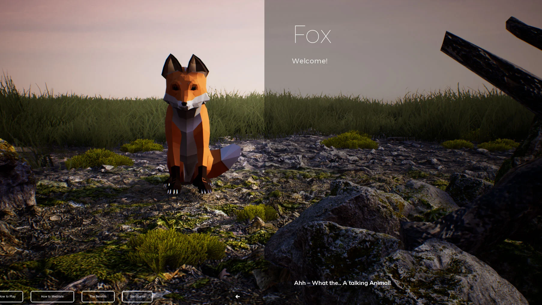 PLAYNE : The Meditation Game - кадр 1