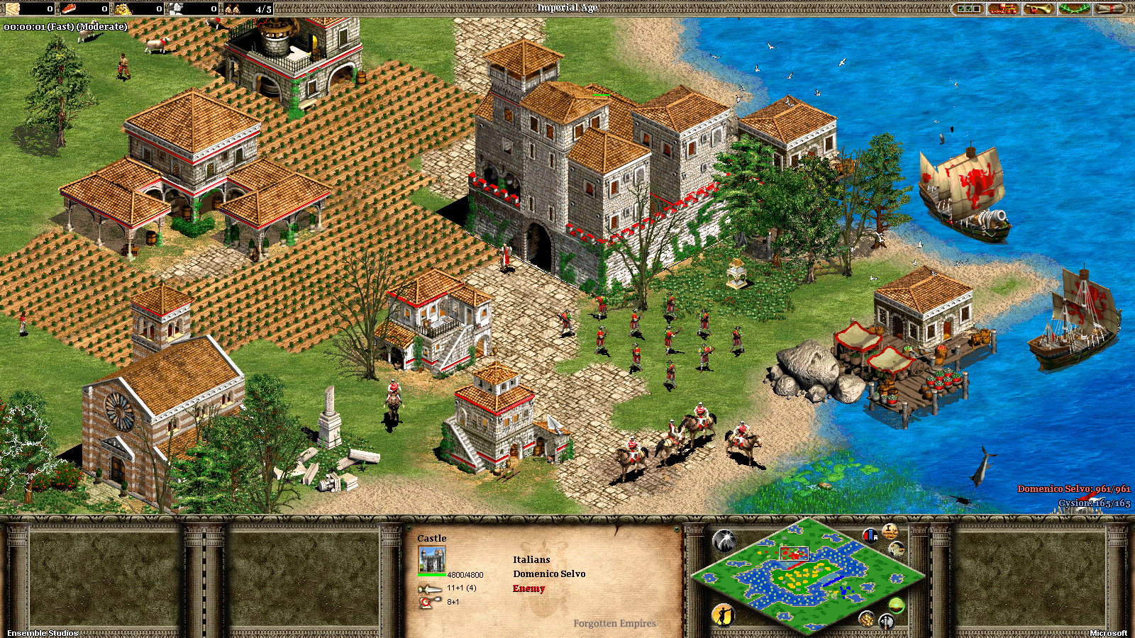 Age of Empires II: Forgotten Empires — скриншот 5