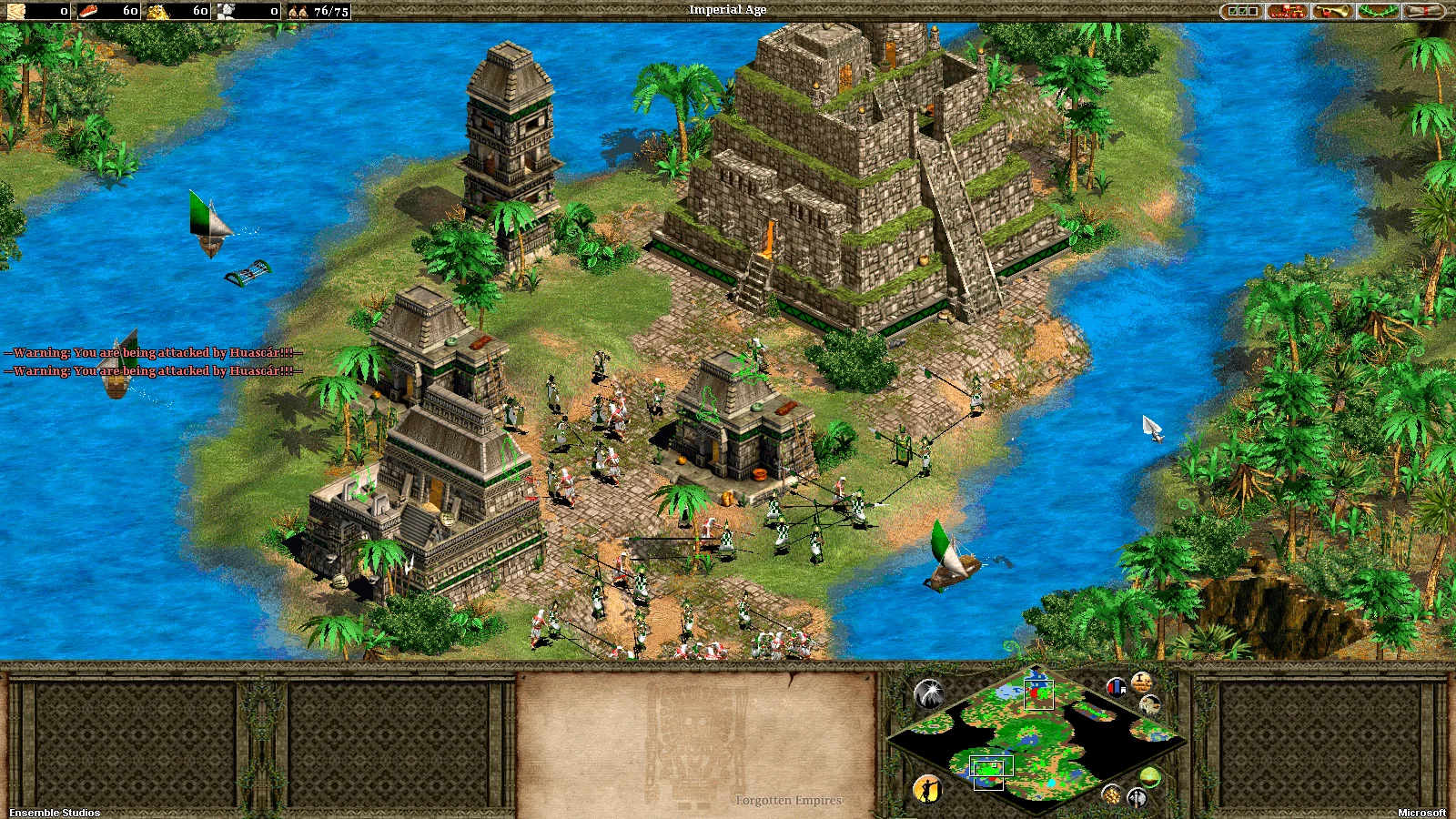 Age of Empires II: Forgotten Empires - кадр 6