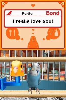 Discovery Kids: Parrot Pals - кадр 4