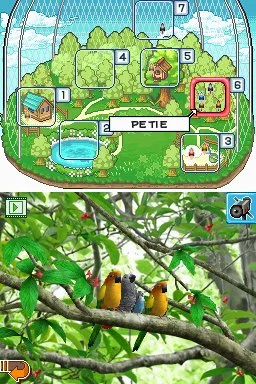 Discovery Kids: Parrot Pals - кадр 5