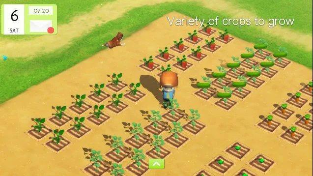 River Town - кадр 3