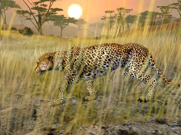Cabela's African Adventures — скриншот 5