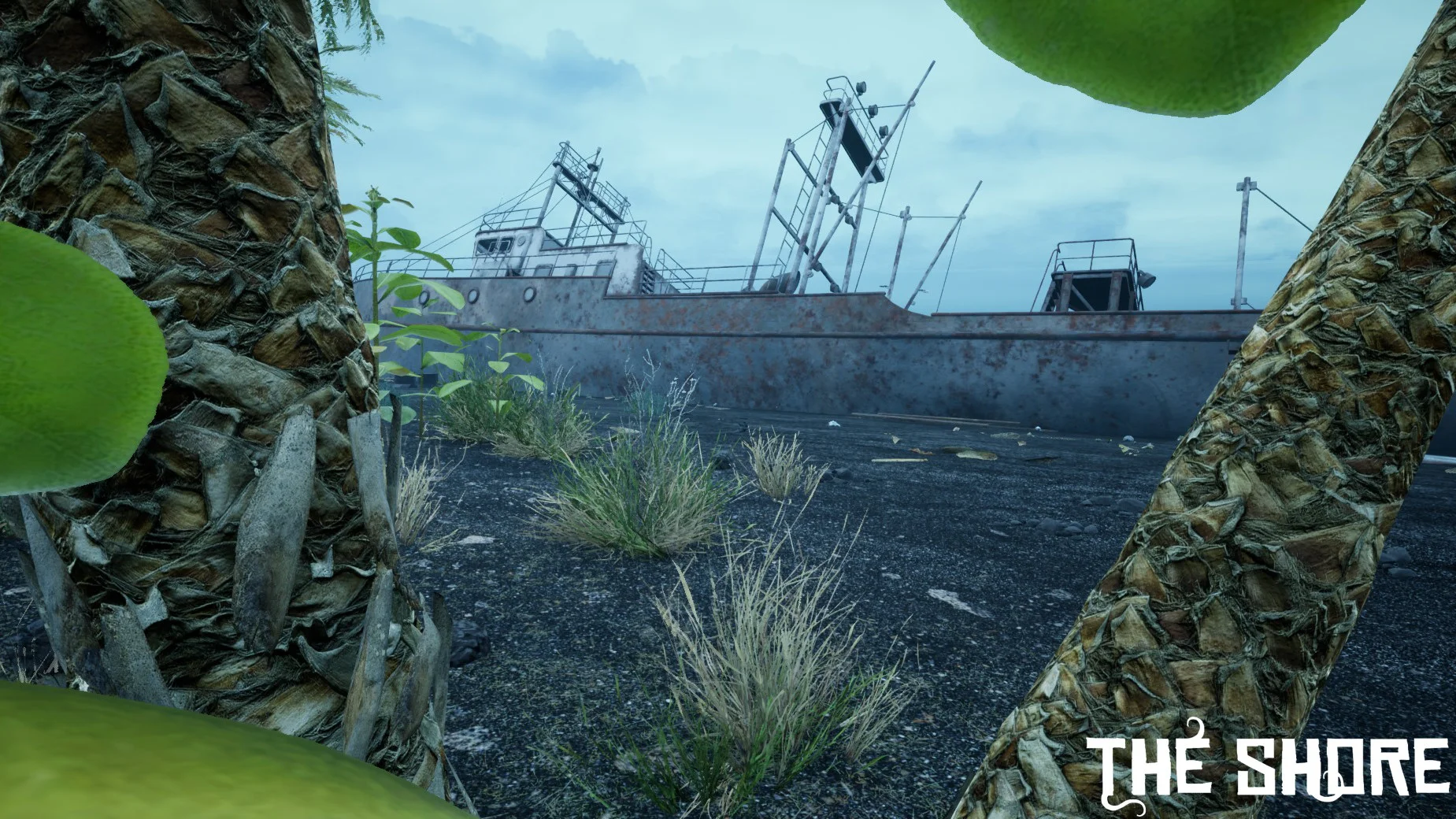 THE SHORE - кадр 13