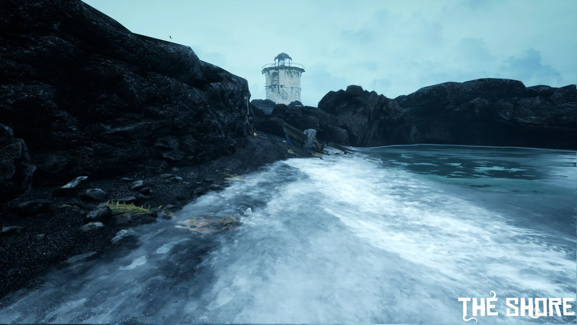 THE SHORE - кадр 10