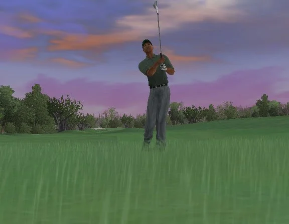 Tiger Woods PGA Tour 2005 - кадр 15