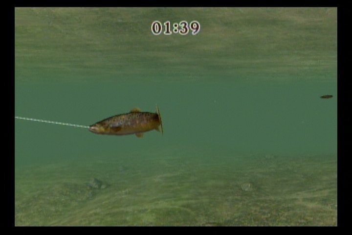Reel Fishing Challenge — скриншот 6