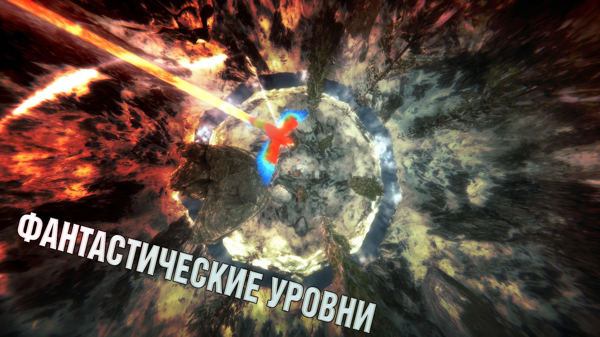 Xbird - кадр 9