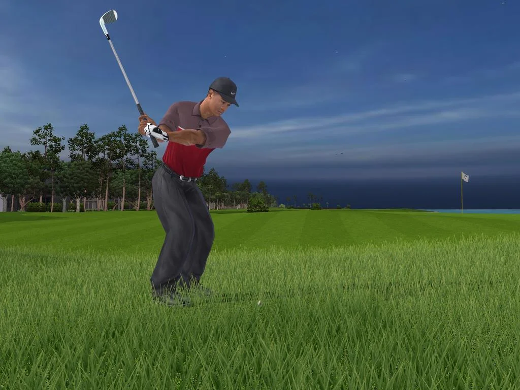 Tiger Woods PGA Tour 2005 - кадр 7