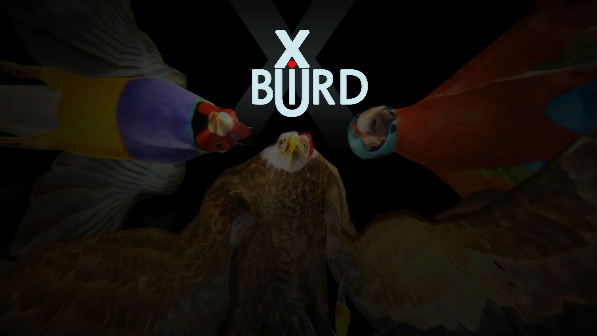 Xbird - кадр 13