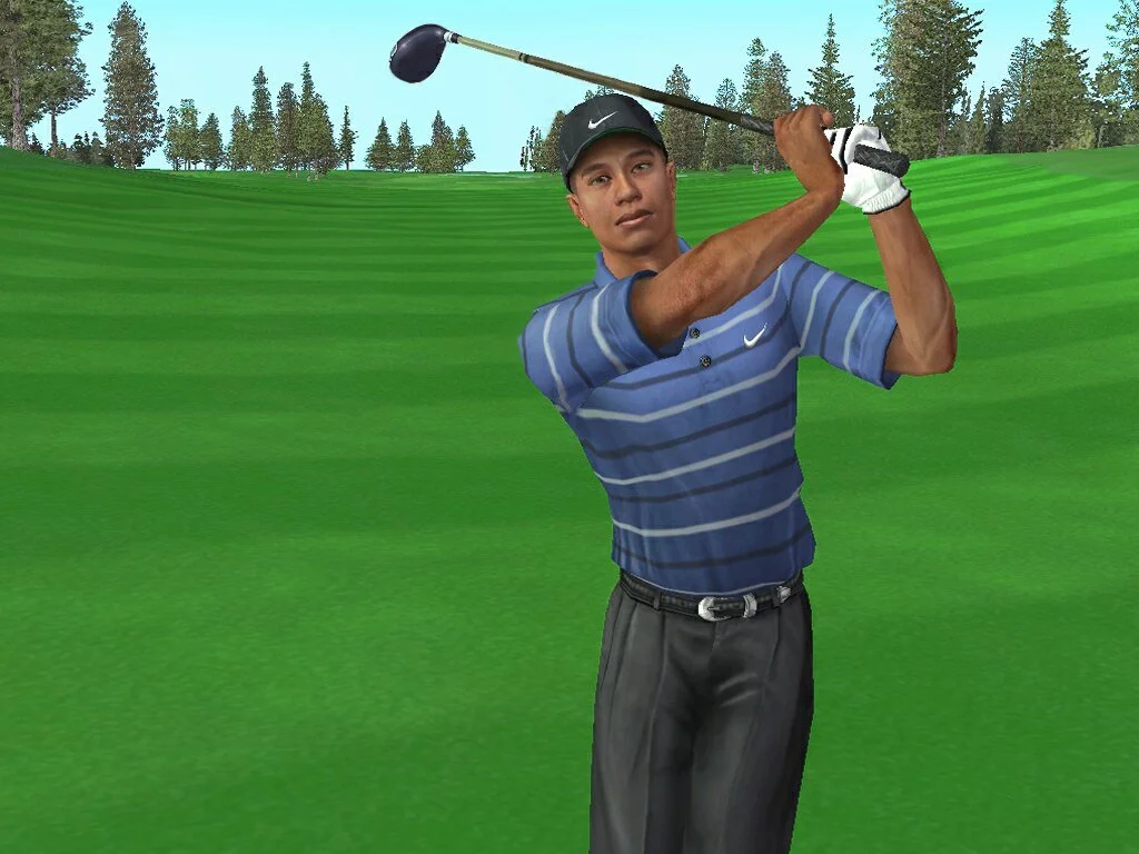 Tiger Woods PGA Tour 2005 - кадр 16