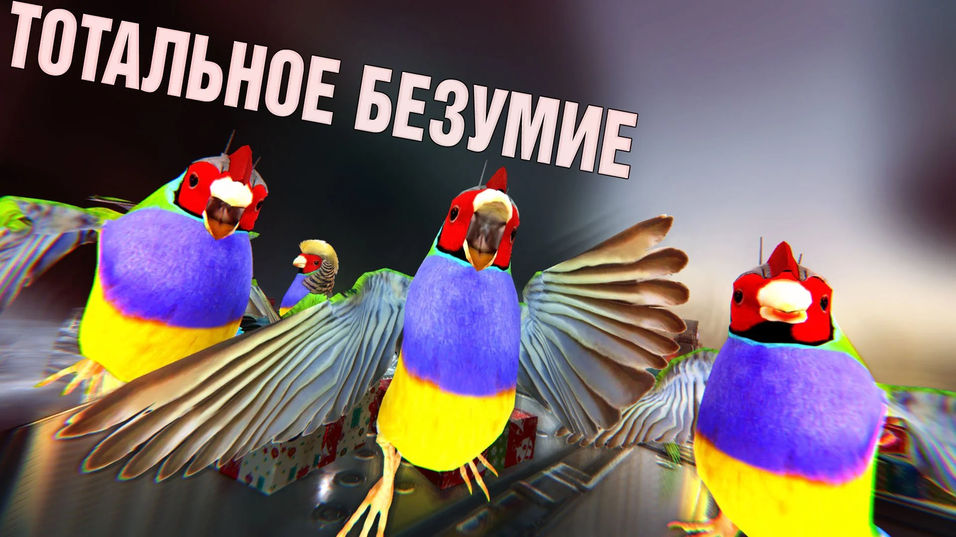 Xbird - кадр 3