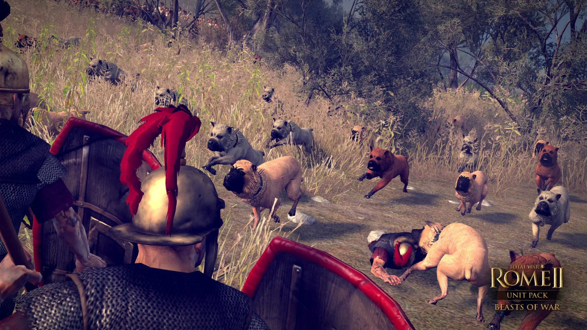 Total War: Rome II - Beasts of War - кадр 2
