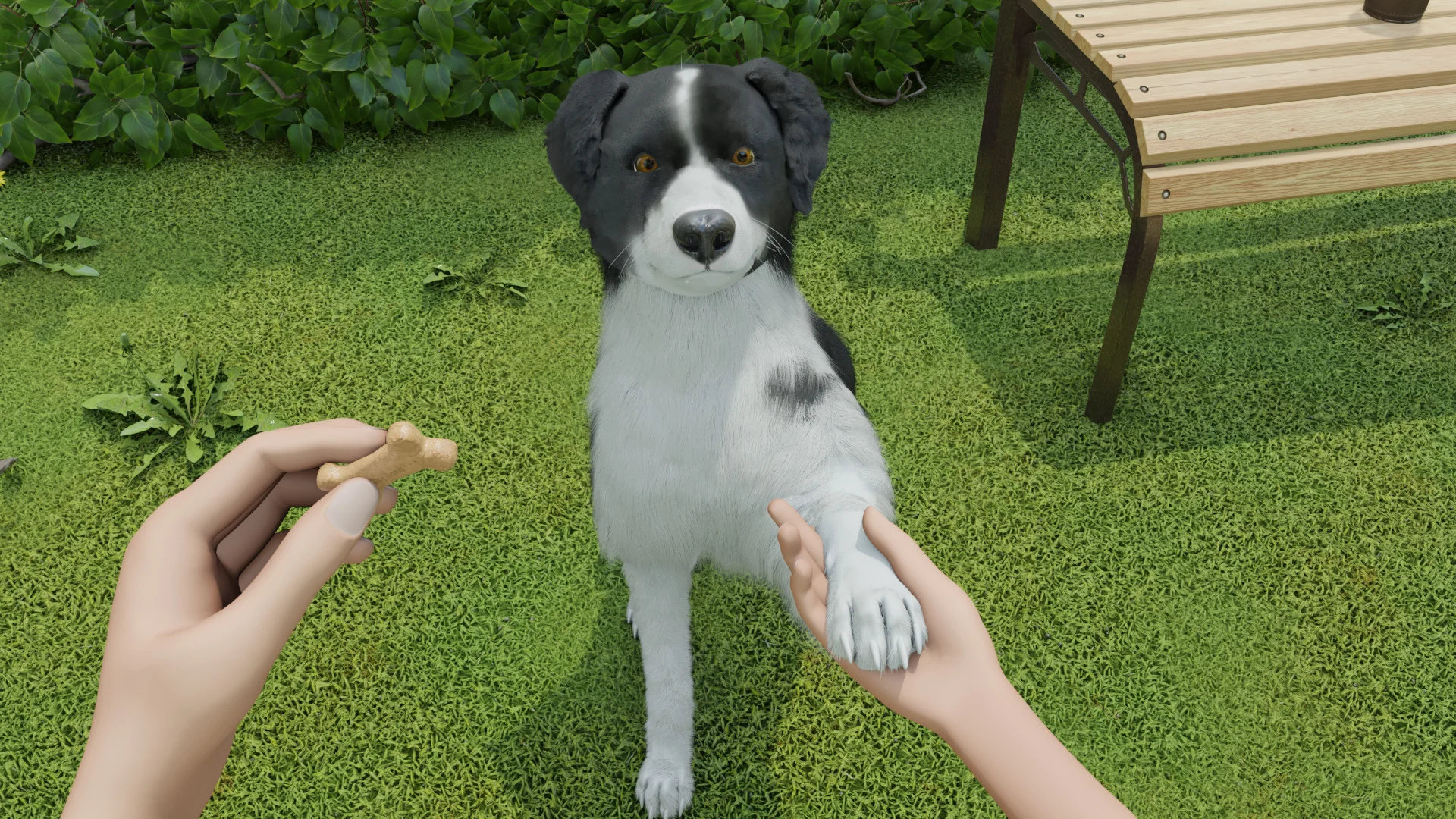 Dog Trainer - кадр 7