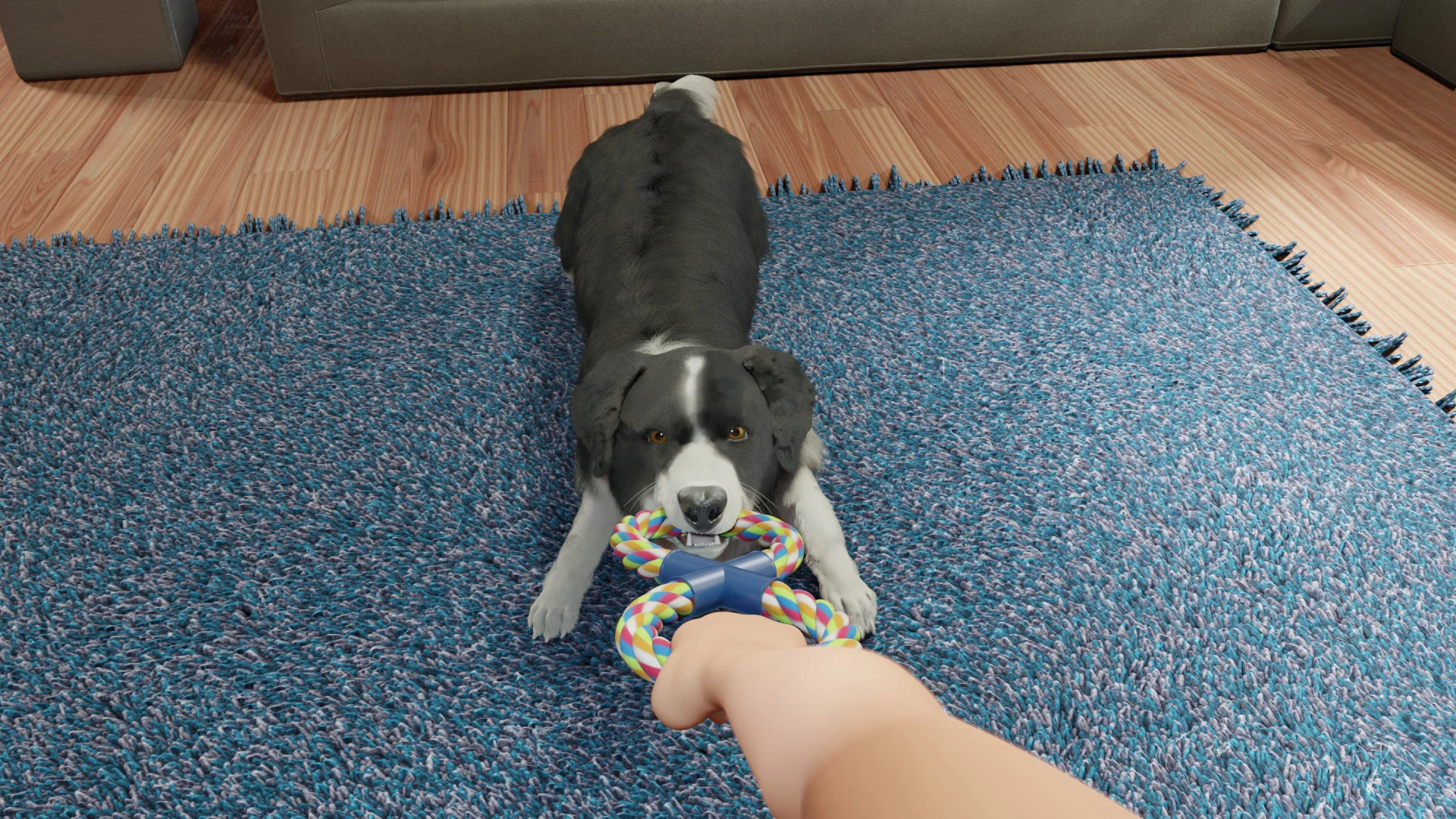 Dog Trainer - кадр 6
