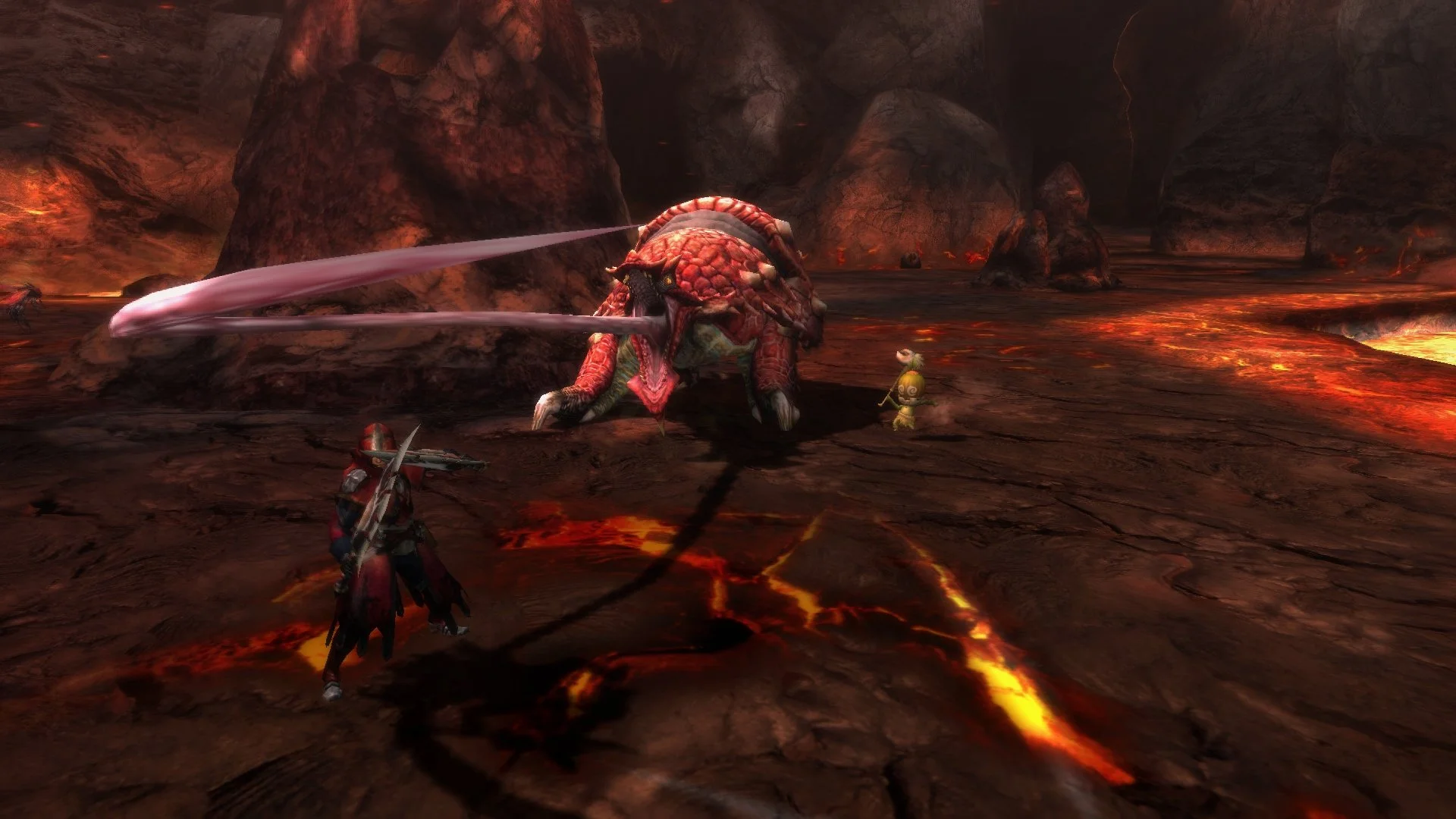 Monster Hunter 3 Ultimate - кадр 11