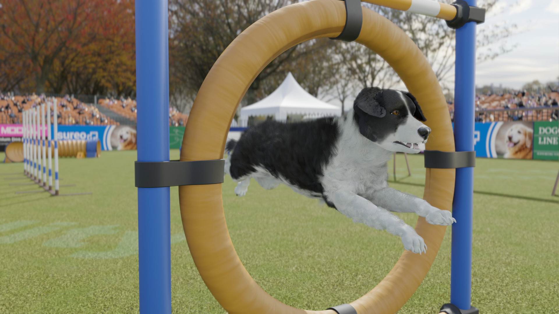 Dog Trainer — скриншот 5