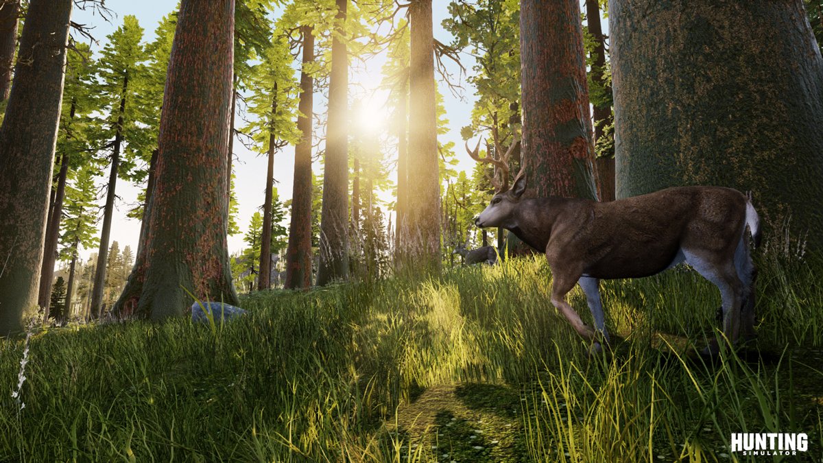 Hunting Simulator — скриншот 1