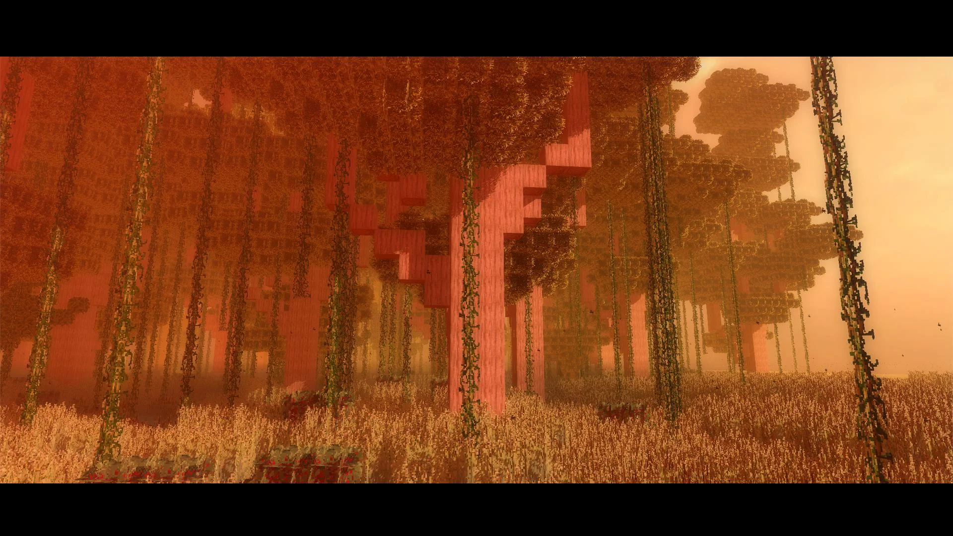 Sticks & Starships - кадр 2