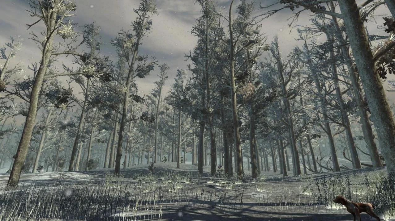 Hunter's Trophy - кадр 6