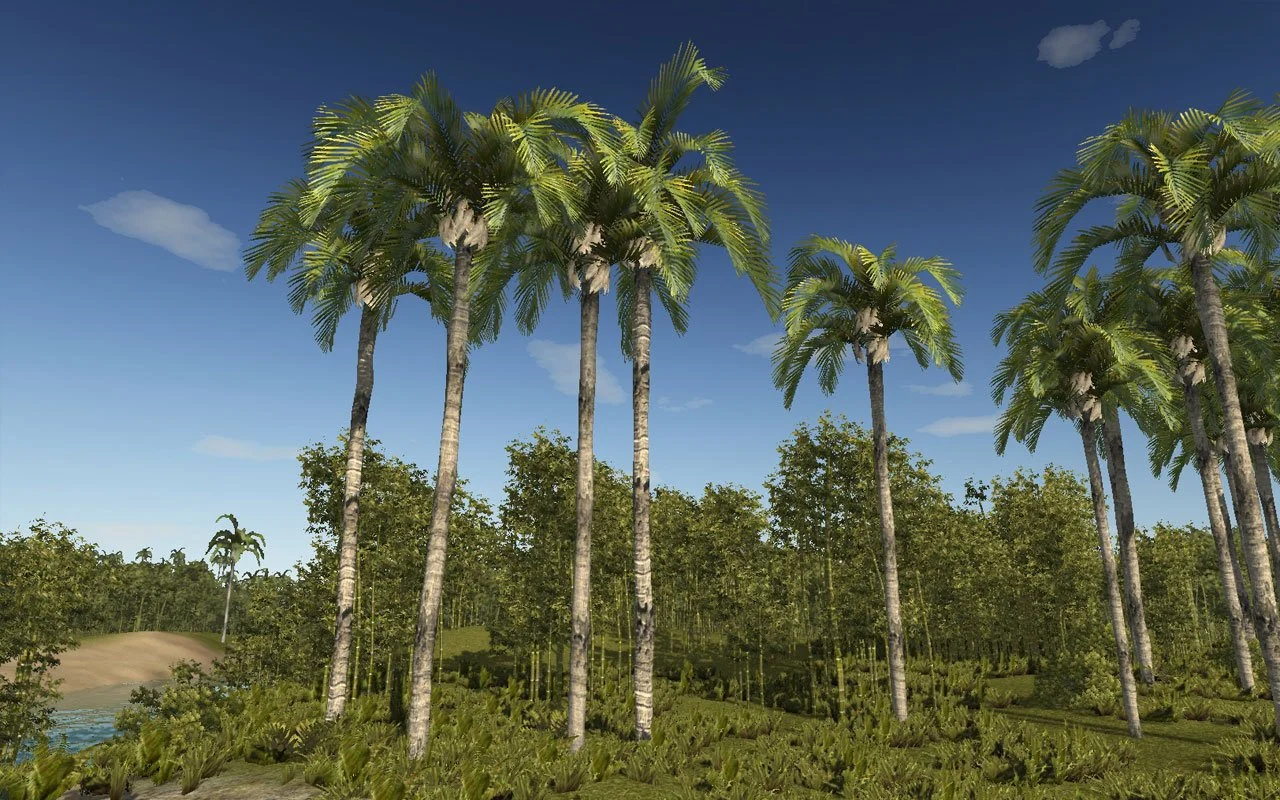 Caribbean Legends - кадр 5