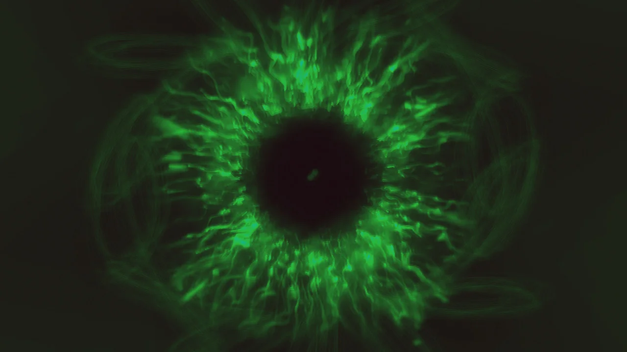 SoundSelf - кадр 4