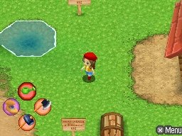 Harvest Moon: Sunshine Islands — скриншот 6