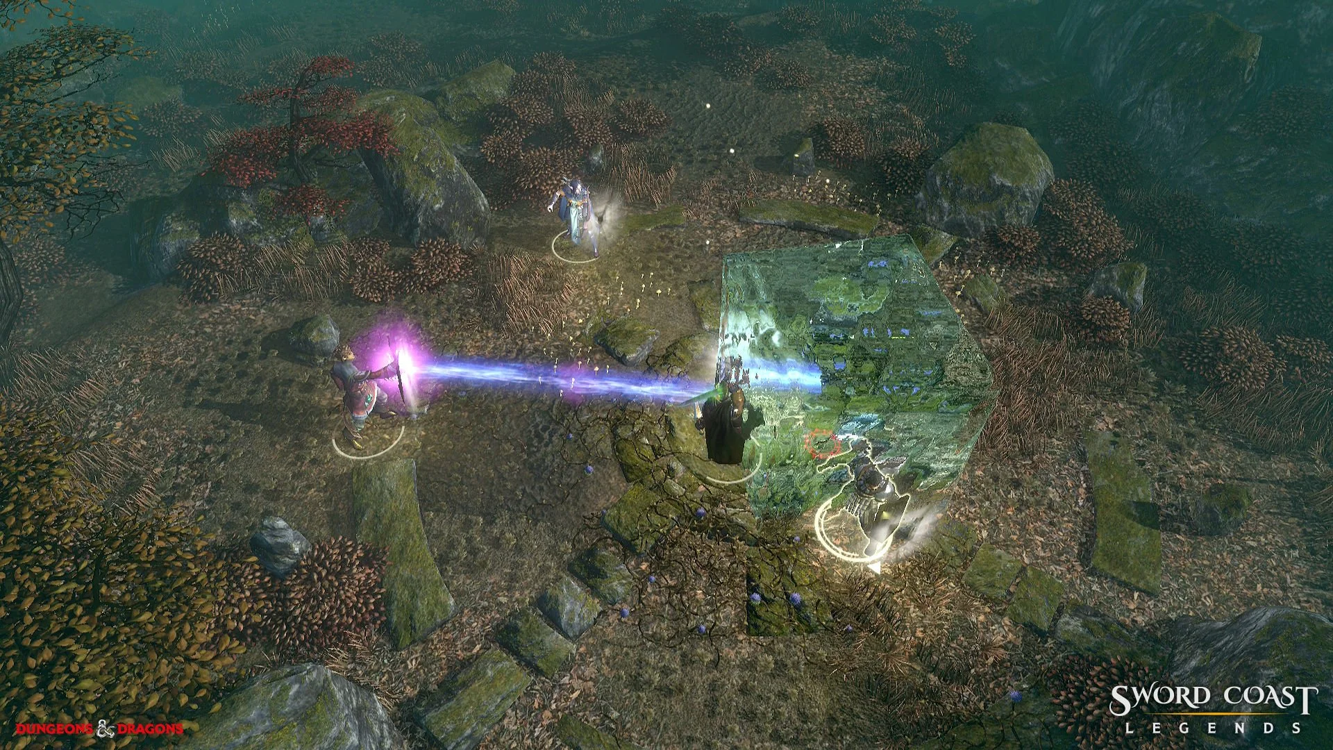 Sword Coast Legends - кадр 9