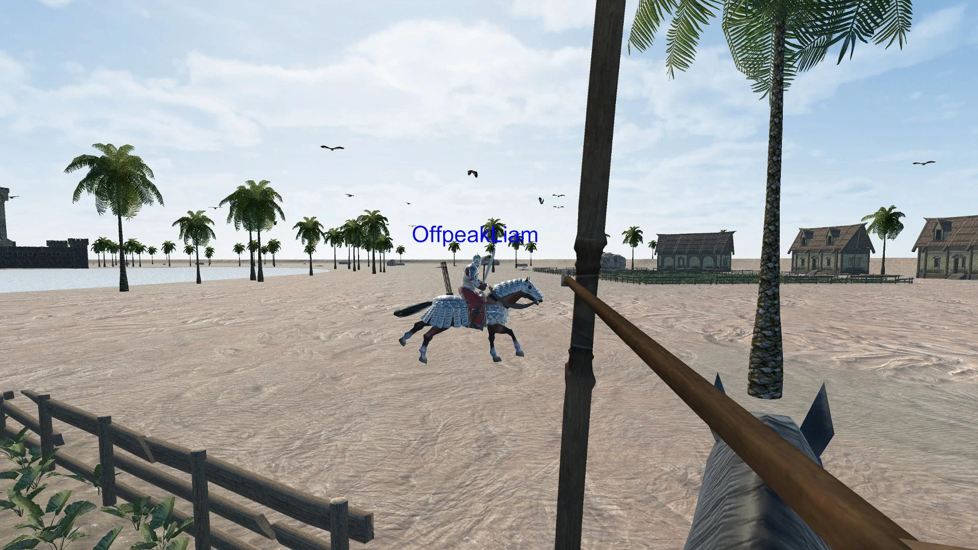 Valiant - кадр 2