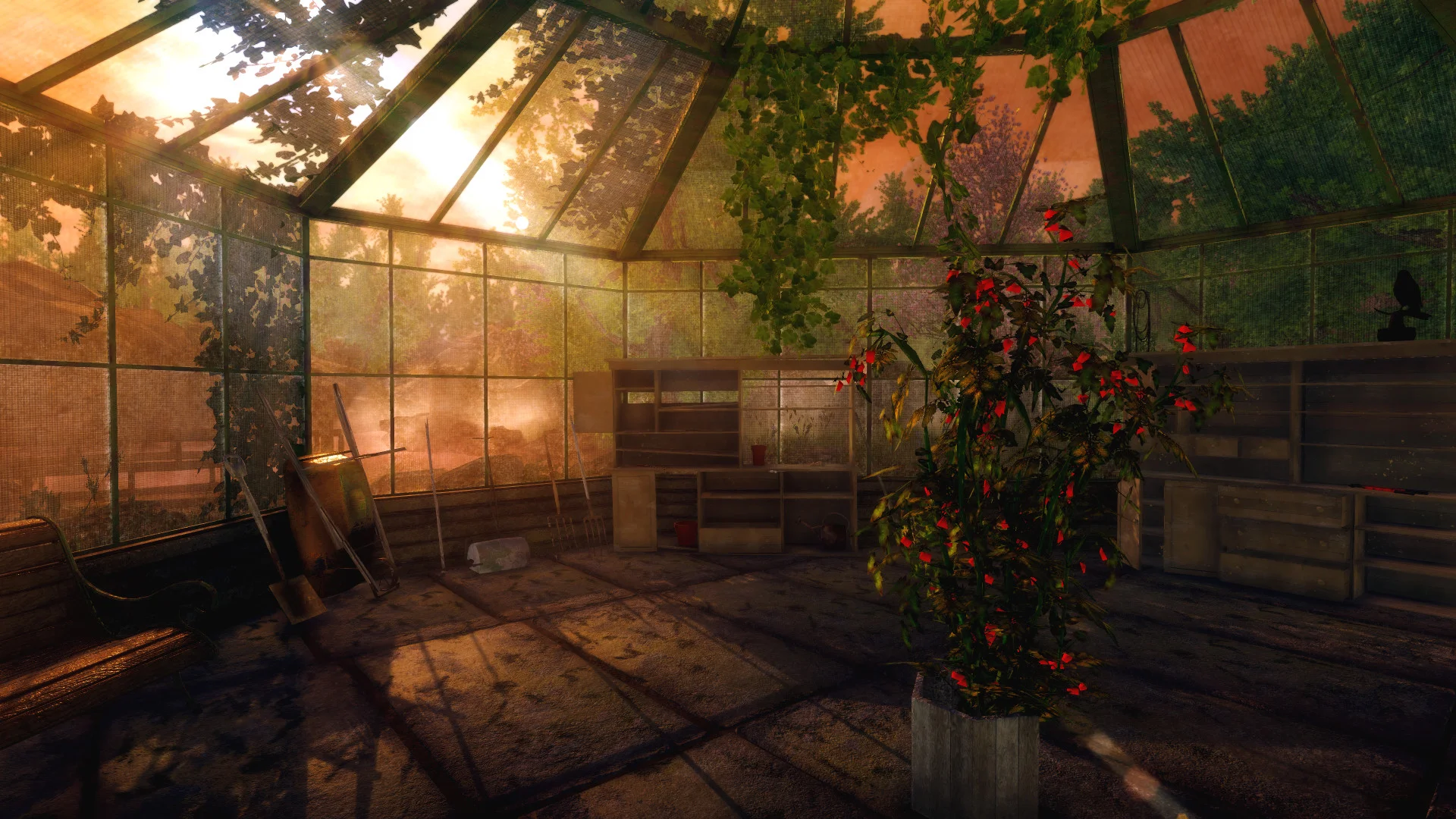 Rise of Insanity - кадр 11