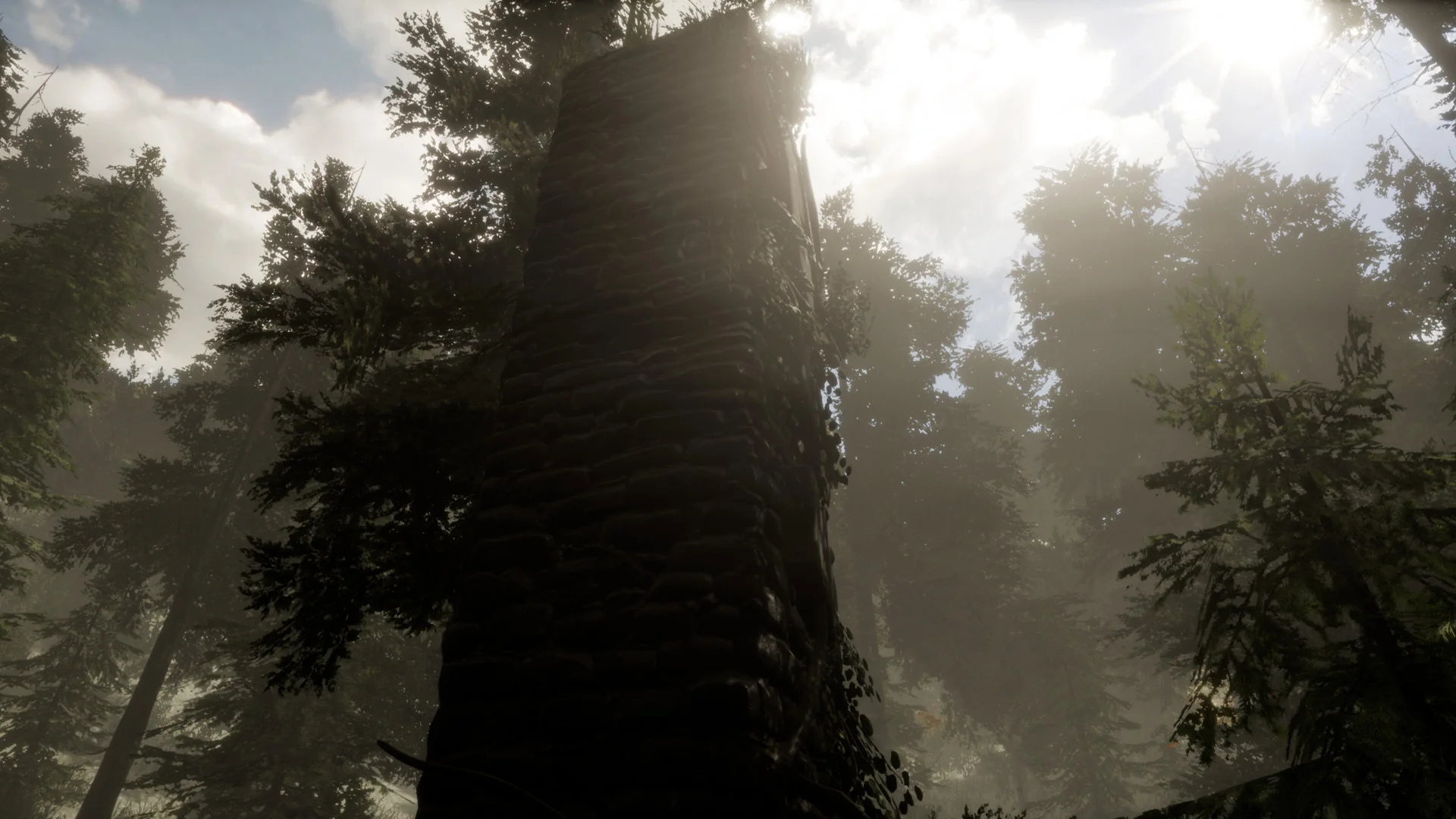 The Woods: VR Escape the Room - кадр 5