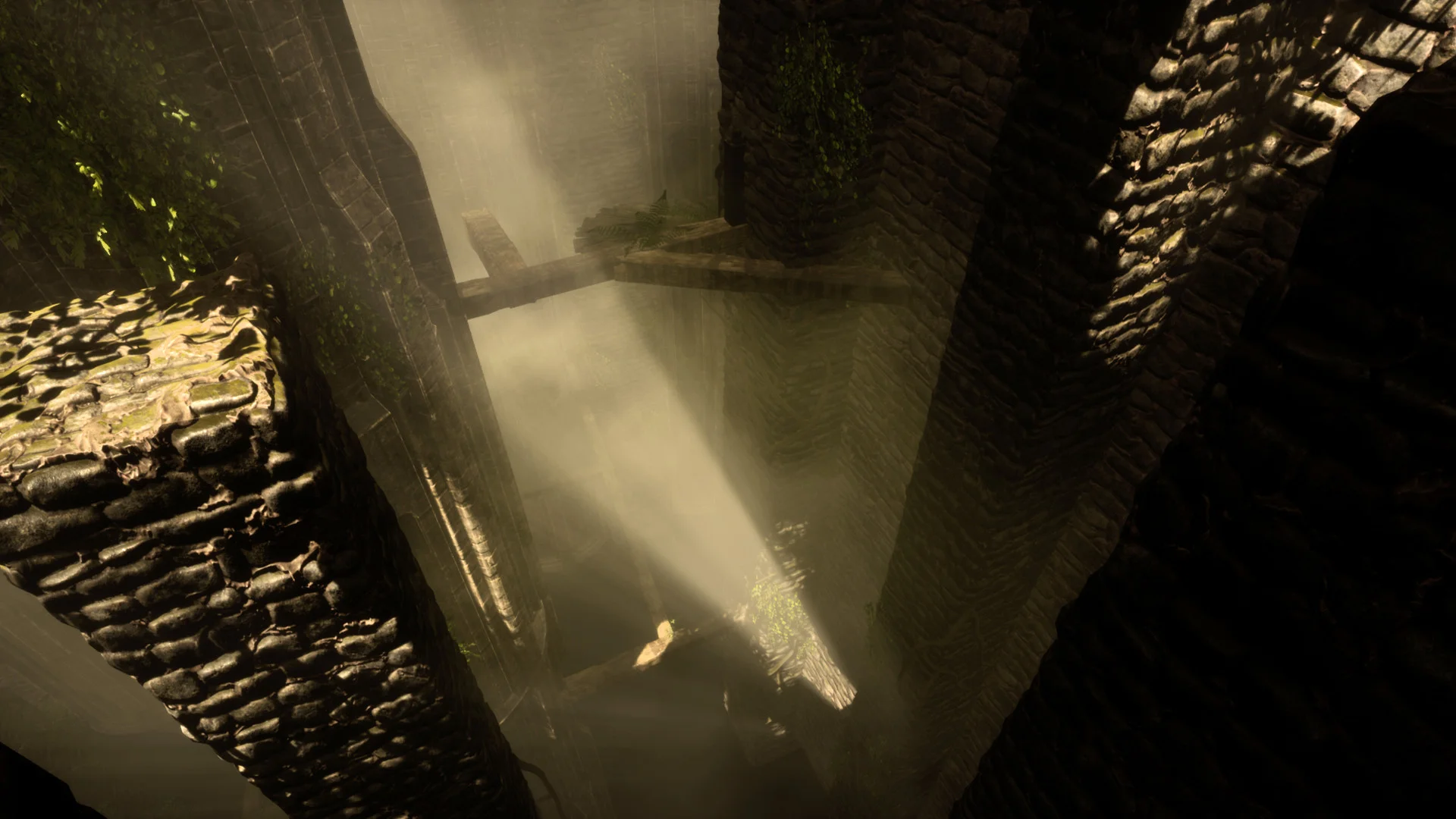 The Woods: VR Escape the Room - кадр 4