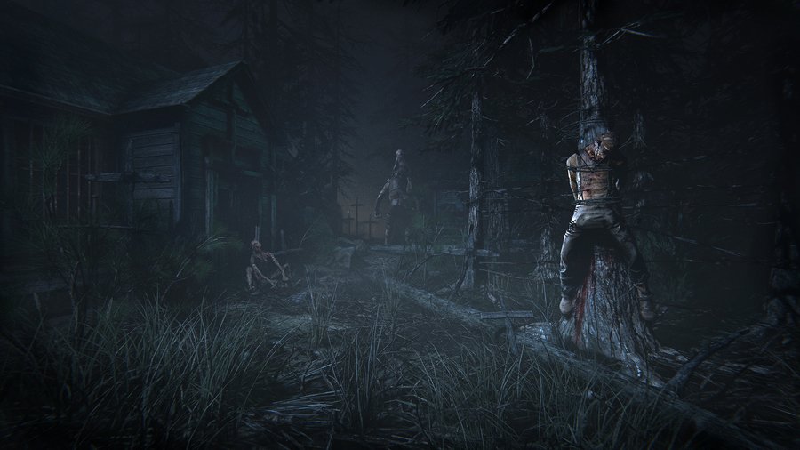 Outlast 2 — скриншот 1