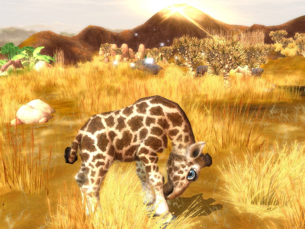 Wildlife Camp: In the Heart of Africa — скриншот 4
