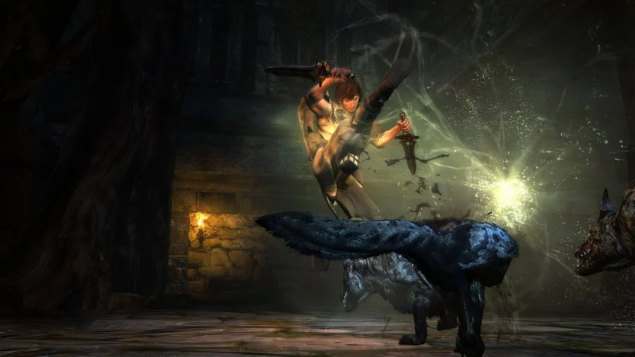 Dragon's Dogma: Dark Arisen - кадр 18