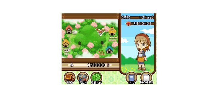 Harvest Moon: The Tale of Two Towns — скриншот 6
