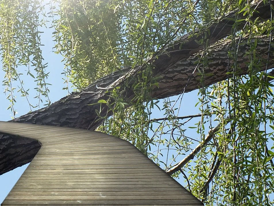 Anamedia - кадр 6